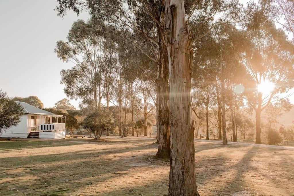 Eight Acres Lakes Entrance Guest House Exterior photo